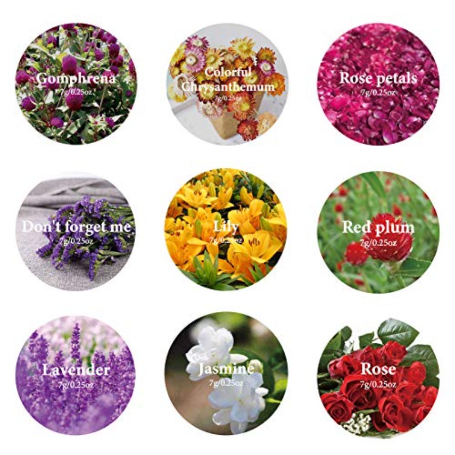 9 Bags Dried Flowers,100% Natu - Candle Making Kits avaliação e preço